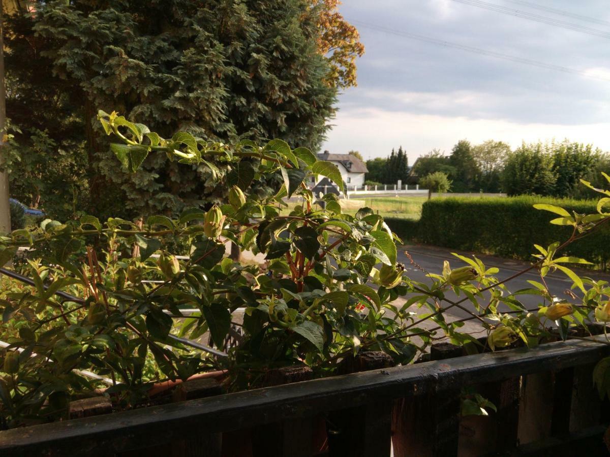 Hotel Pension Waldhof Simmern Kültér fotó